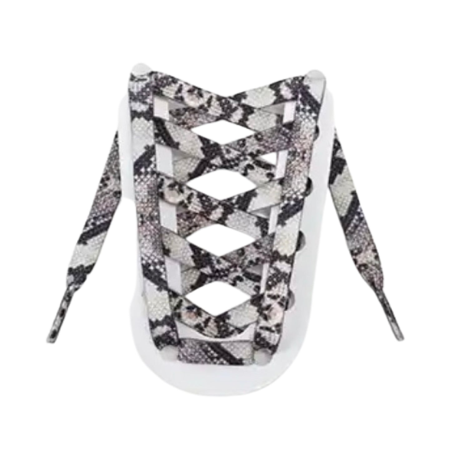 Paython shoelaces