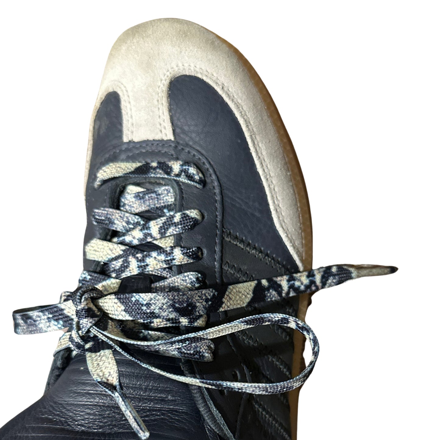 Paython shoelaces